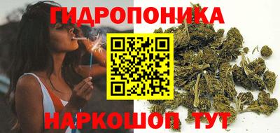 ГАЛЛЮЦИНОГЕННЫЕ ГРИБЫ Коммунар