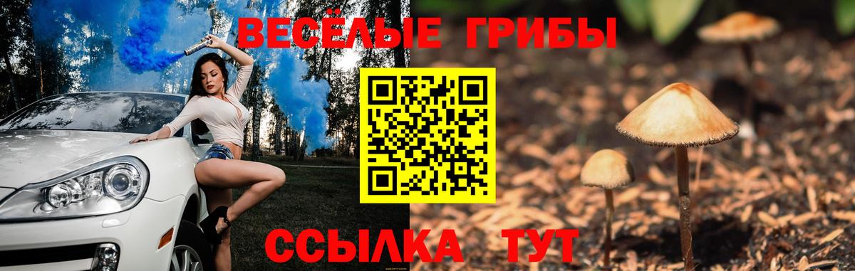 МЕФ Крымск